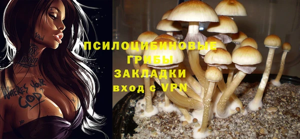 меф Снежногорск